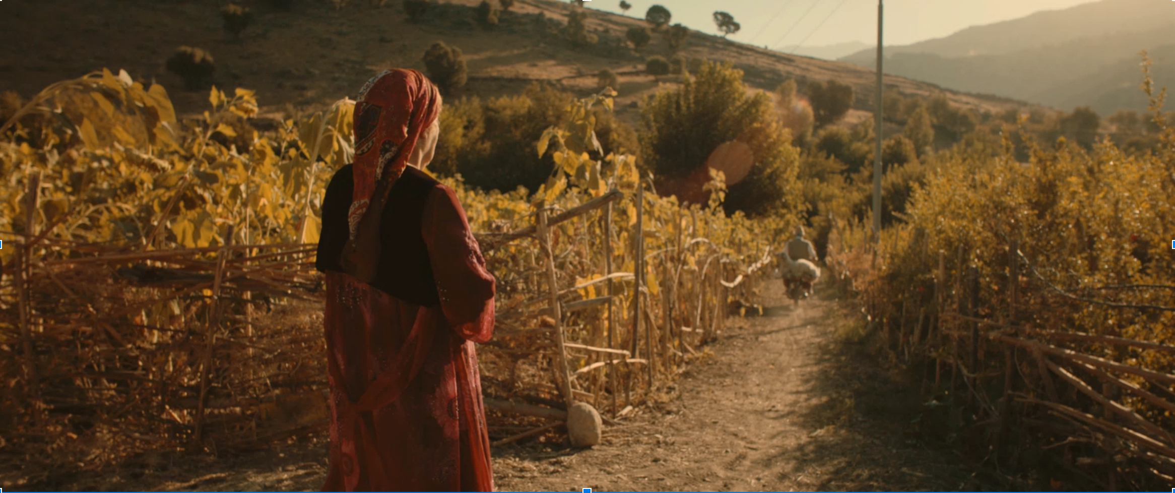 FilmStill