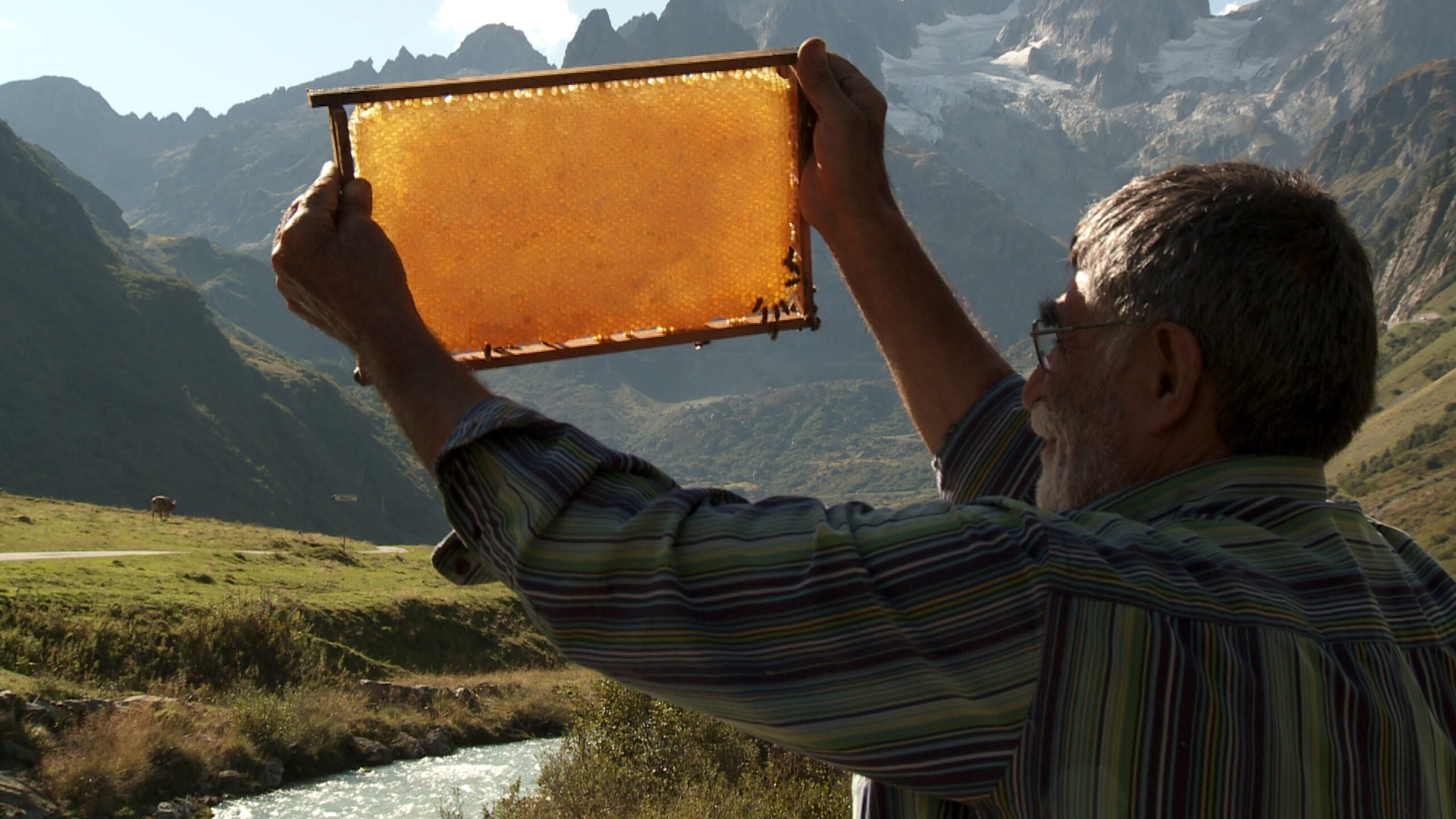 The Beekeeper_AKFF_2024